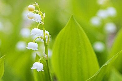 真人互动恋爱影游《SB帝国》Steam页面开放 2月21日发售